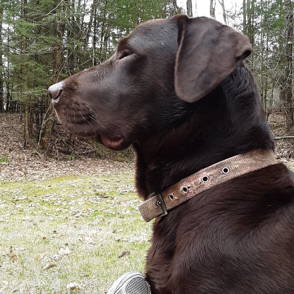 Meet your Posh Ambassador, Melissa! - Picture 8 of 10